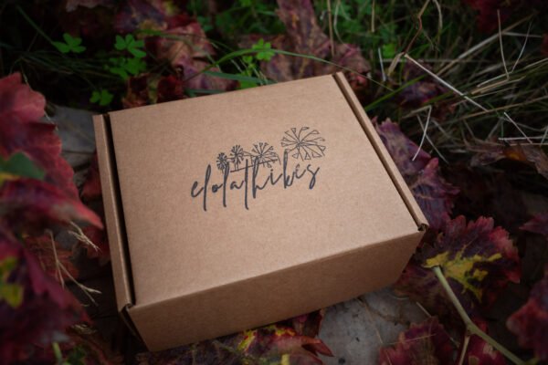 Elolathikes in a Box - Image 2