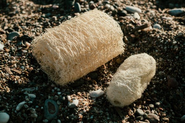 Loofah - Image 5