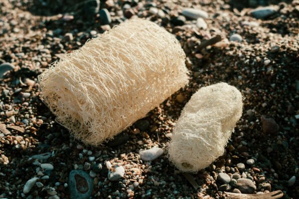 Loofah