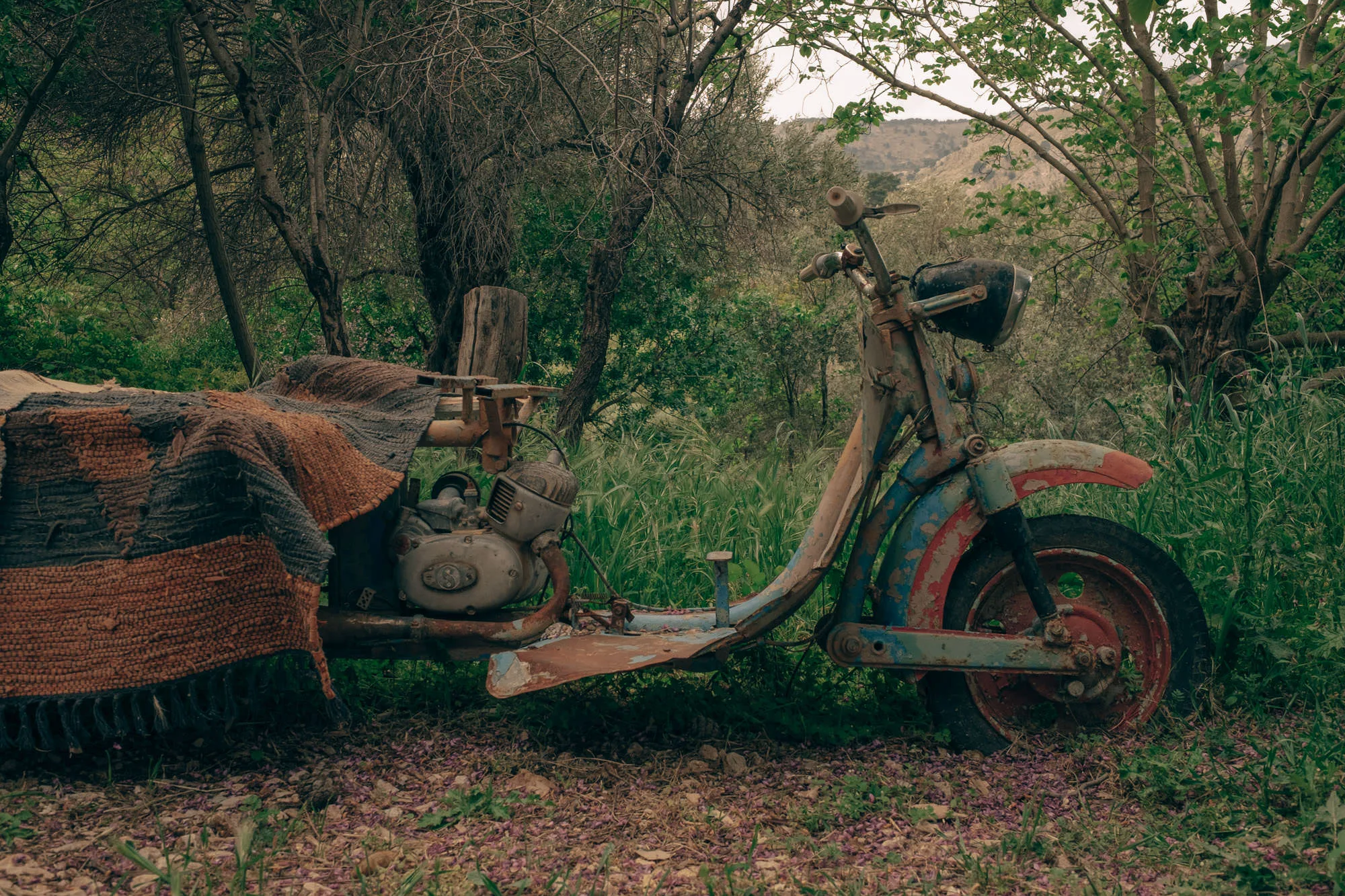 Forgotten Wheels